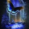 diane_yarbrough